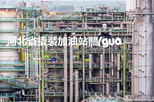 河北省撬裝加油站關(guān)鍵技術(shù)突破！化工廠拆除工程的新方法探索？